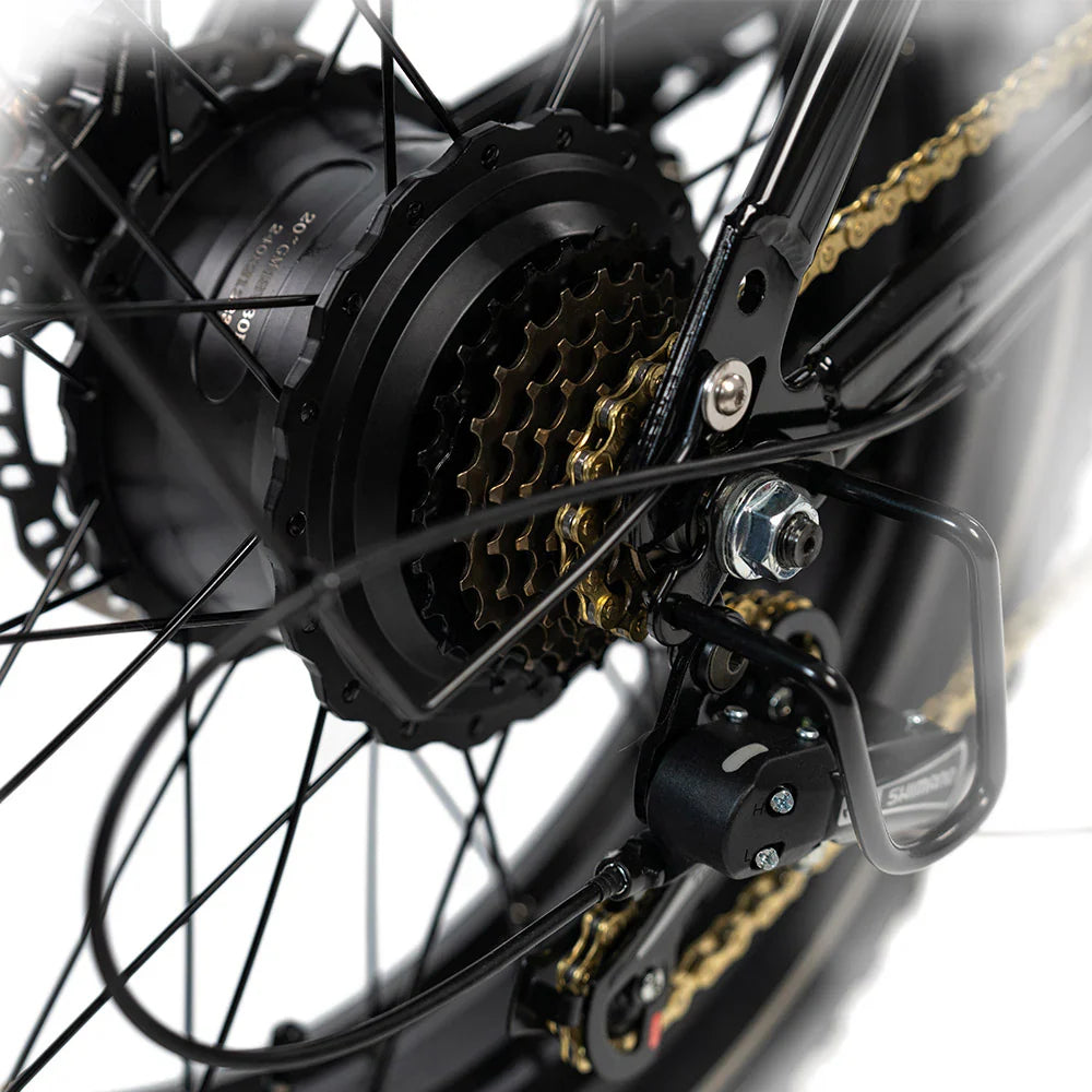 HAPPYRUN G70 Electric Cargo Bike