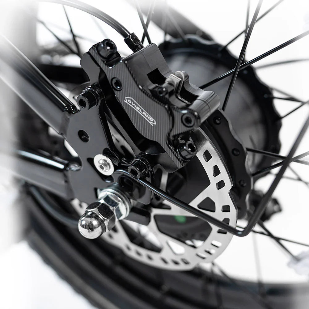 HAPPYRUN G70 Electric Cargo Bike