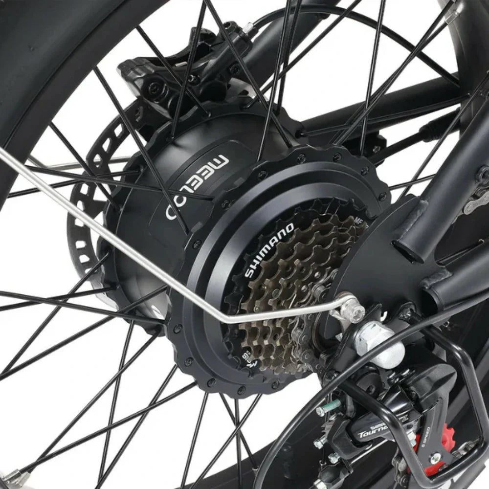 MEELOD DK300 MAX Electric Motorcycle
