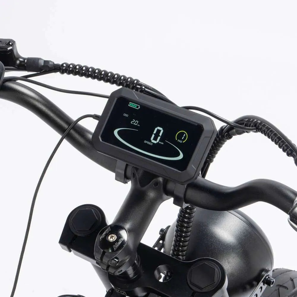 YVY C20 PRO Fat Tire Electric Bike