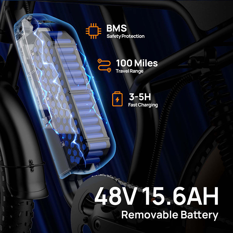 URLIFE T2 Fat Tire Electric Bike