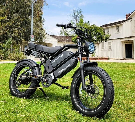 Cargo E-Bike