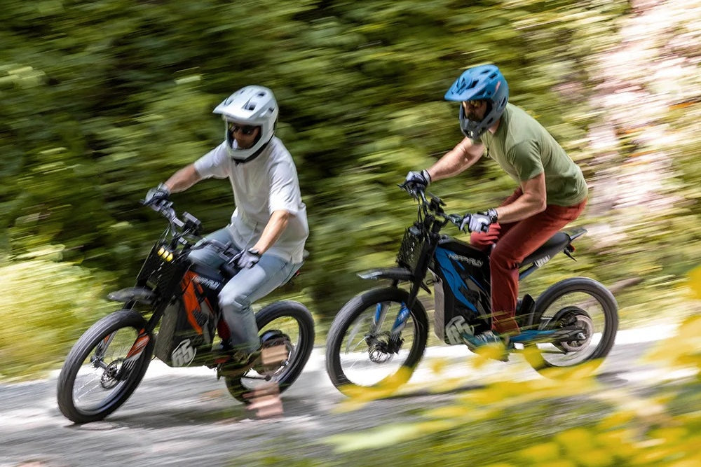 Dirt E-Bike