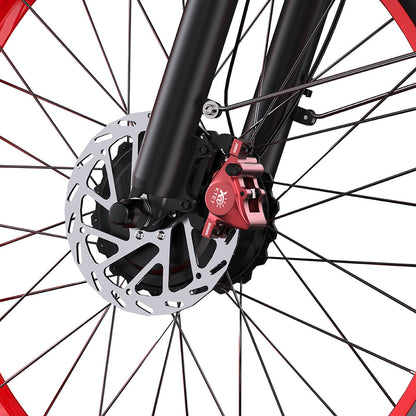 DUOTTS N26 Fat Tire Electric Bike