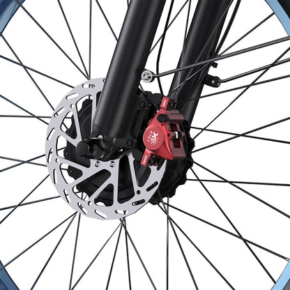 DUOTTS N26 Fat Tire Electric Bike
