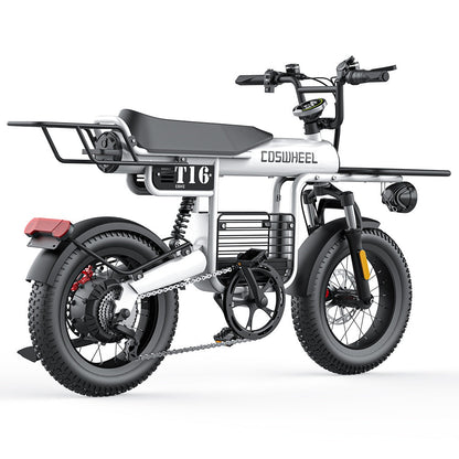 COSWHEEL T16 Electric Cargo Bike