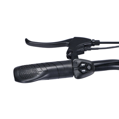 GLEERIDE EC540 Fat Tire Electric Bike