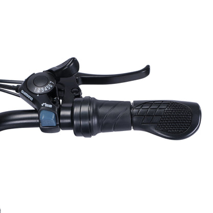 GLEERIDE EC540 Fat Tire Electric Bike