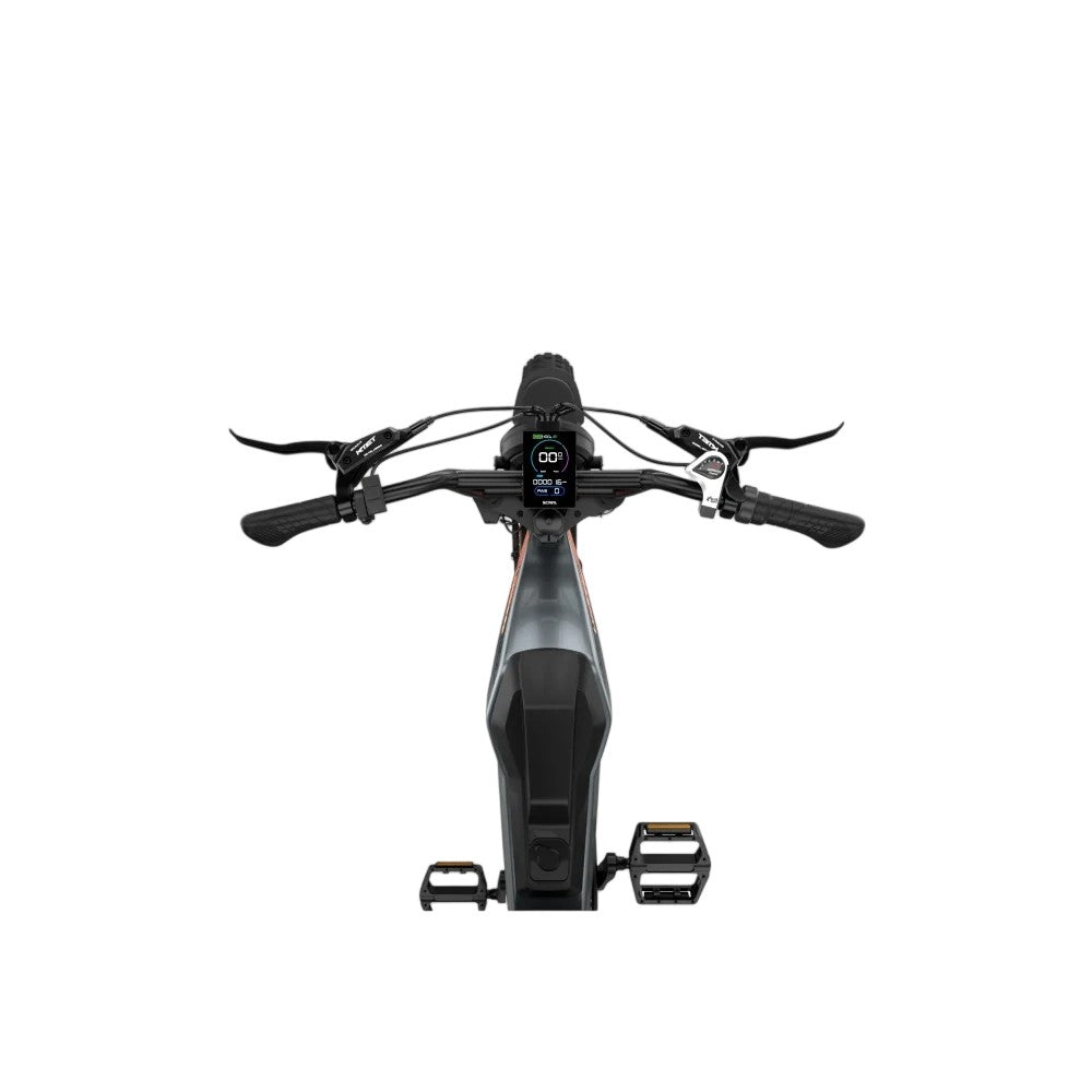 LUCKEEP M5 Max Off-Road Electric Bike