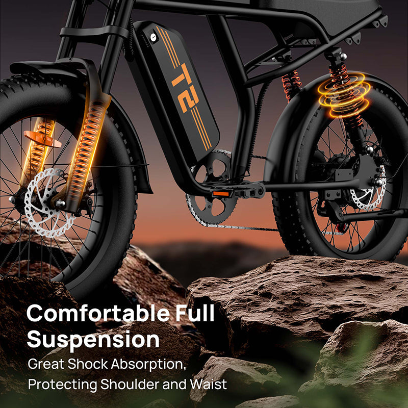 URLIFE T2 Fat Tire Electric Bike
