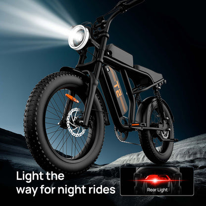 URLIFE T2 Fat Tire Electric Bike