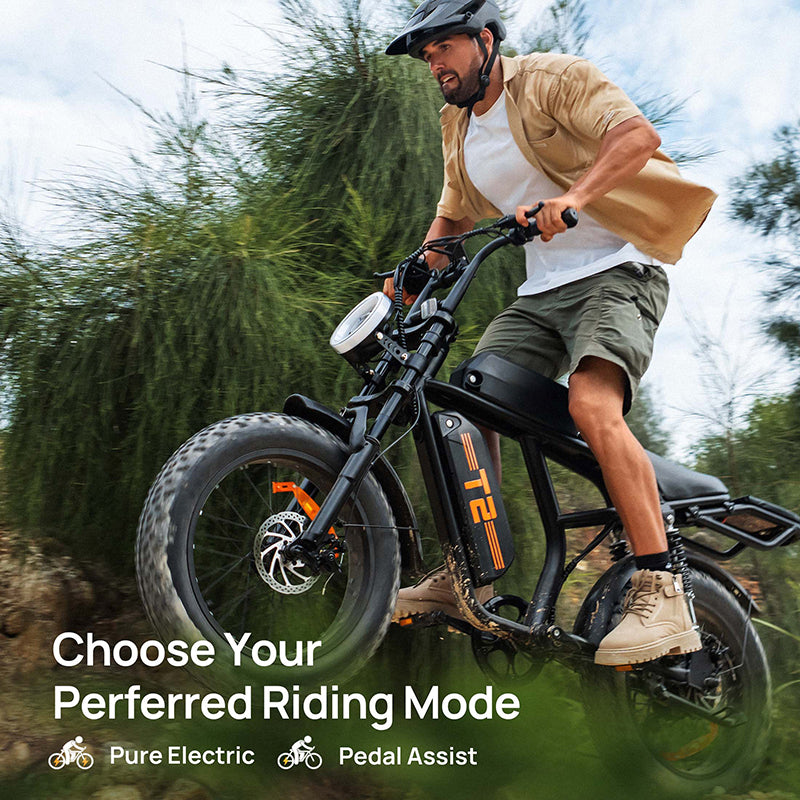 URLIFE T2 Fat Tire Electric Bike