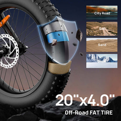 URLIFE T2 Fat Tire Electric Bike