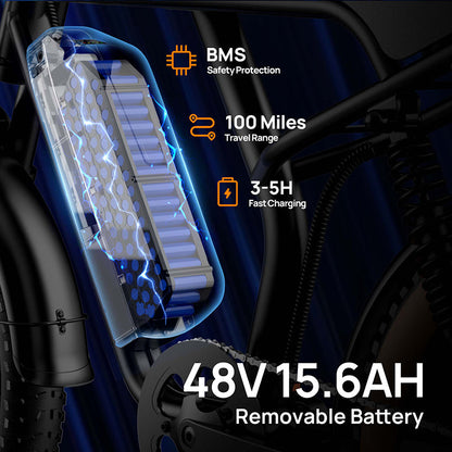 URLIFE T2 Fat Tire Electric Bike