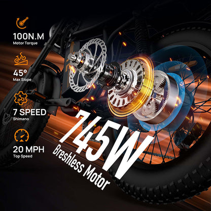 URLIFE T2 Fat Tire Electric Bike