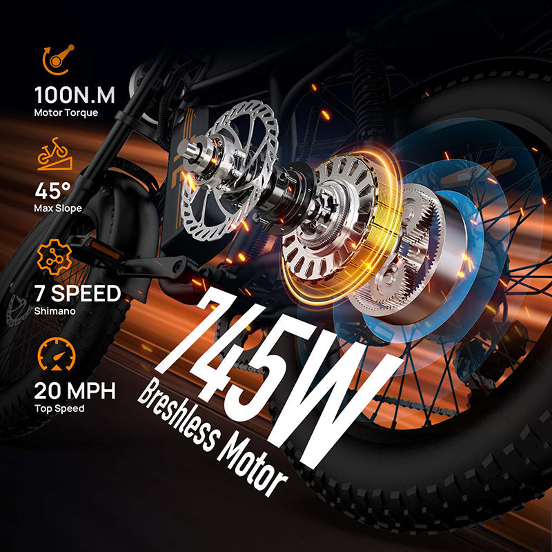 URLIFE T2 Fat Tire Electric Bike