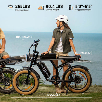 URLIFE T2 Fat Tire Electric Bike