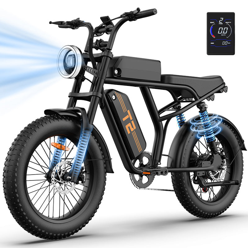 URLIFE T2 Fat Tire Electric Bike