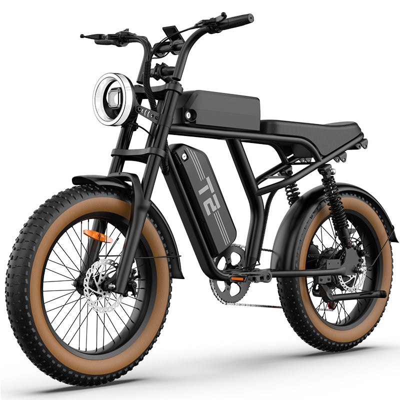 URLIFE T2 Fat Tire Electric Bike