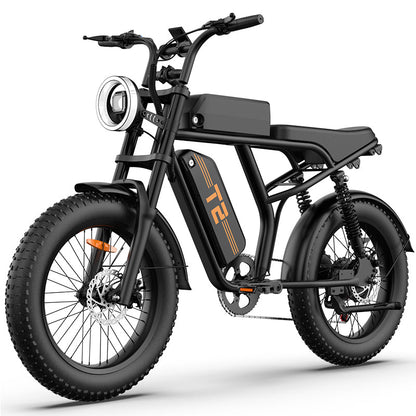 URLIFE T2 Fat Tire Electric Bike