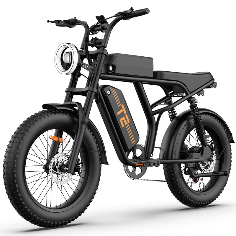 URLIFE T2 Fat Tire Electric Bike