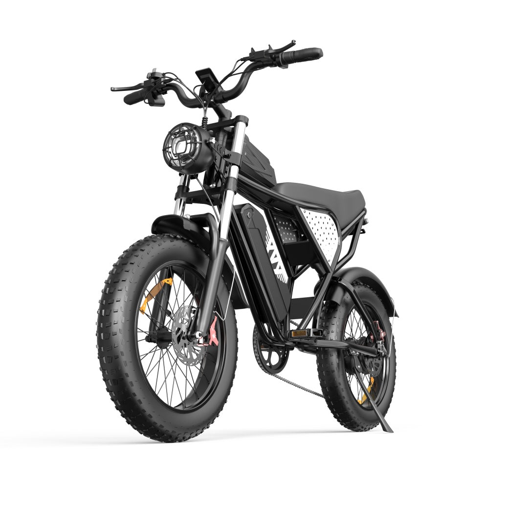YVY C20 Fat Tire Electric Bike