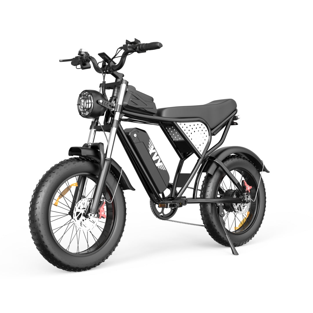 YVY C20 Fat Tire Electric Bike