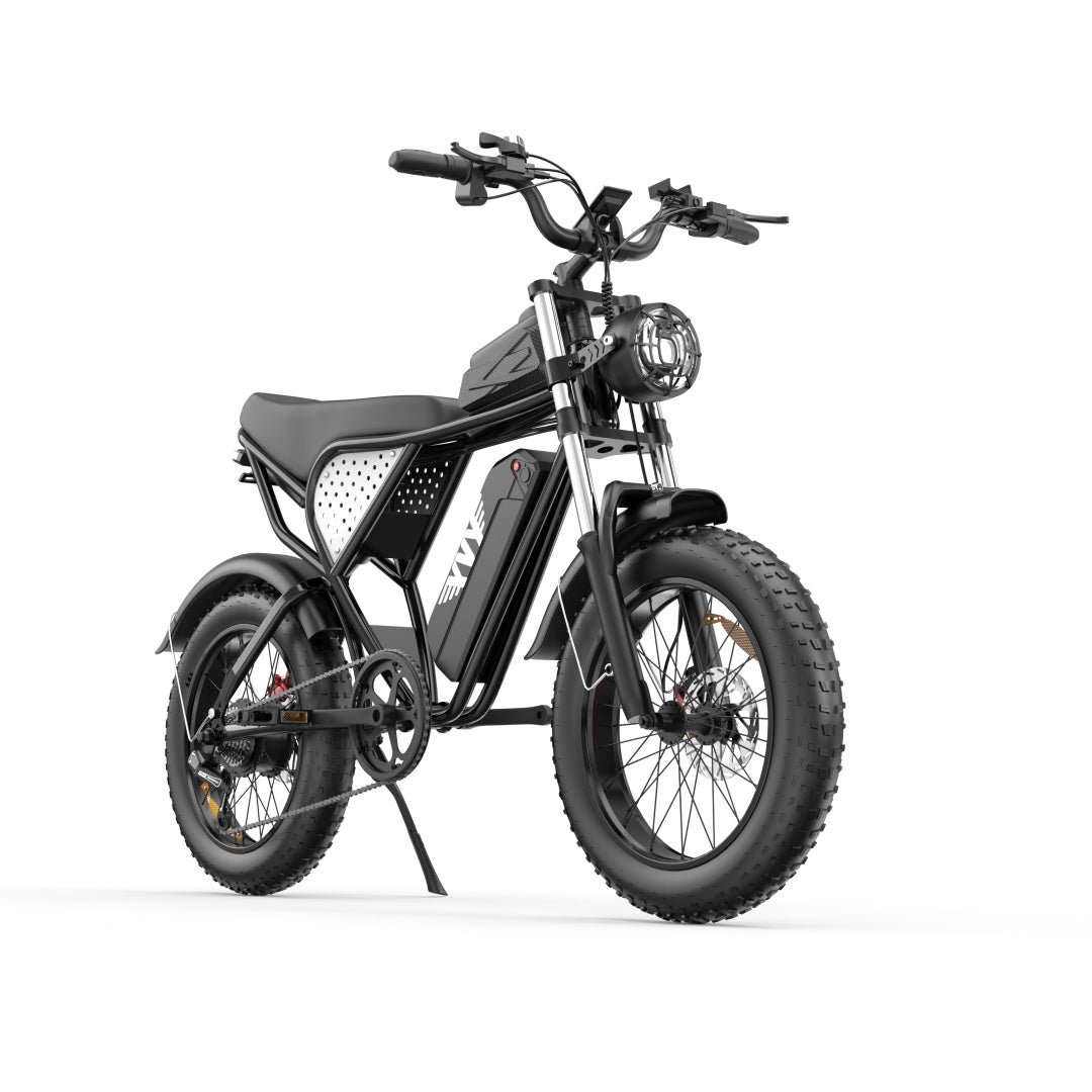 YVY C20 Fat Tire Electric Bike
