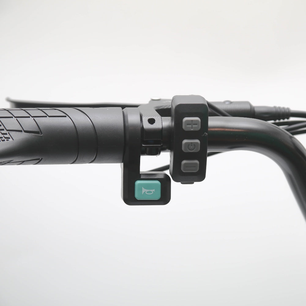 EMOKO C93 Dual Motor And Battery Electric Motorcycle