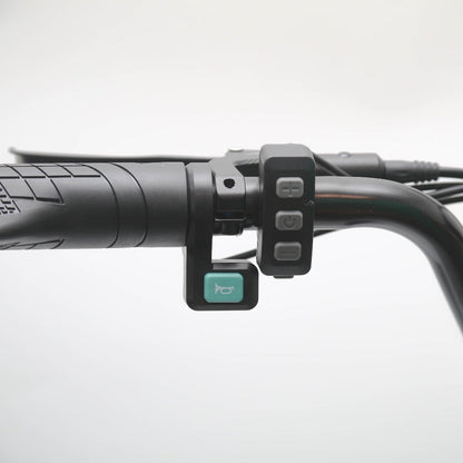 EMOKO C93 Dual Motor And Battery Electric Motorcycle