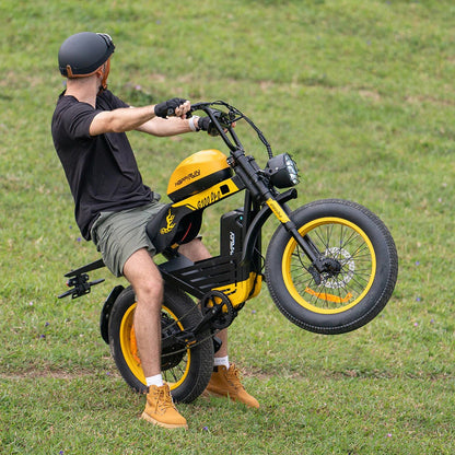 HAPPYRUN G100 PRO Off-Road Electric Bike